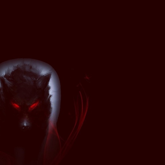 Meet your Posher, Logan - Picture 1 of 1